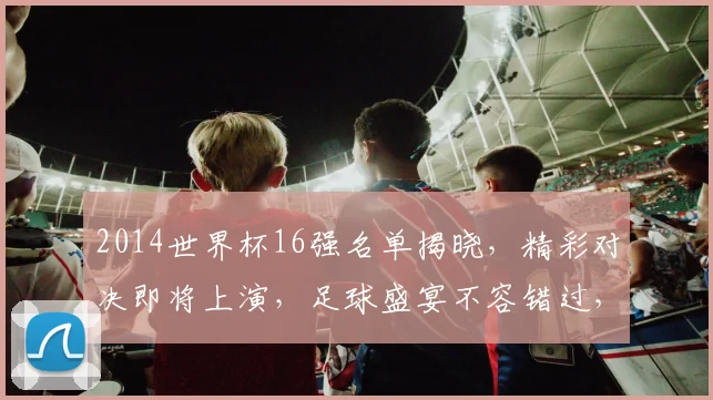 2014世界杯16强名单揭晓，精彩对决即将上演，足球盛宴不容错过，敬请关注