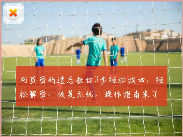 网页密码遗忘教你3步轻松找回，轻松解密，恢复无忧，操作指南来了，快速上手