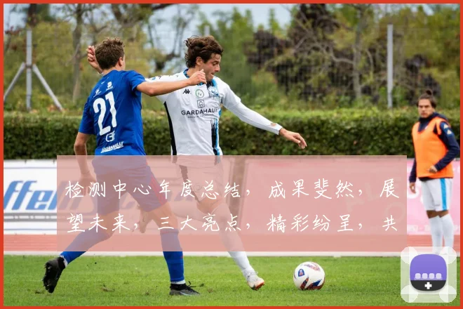 检测中心年度总结，成果斐然，展望未来，三大亮点，精彩纷呈，共谋发展。
