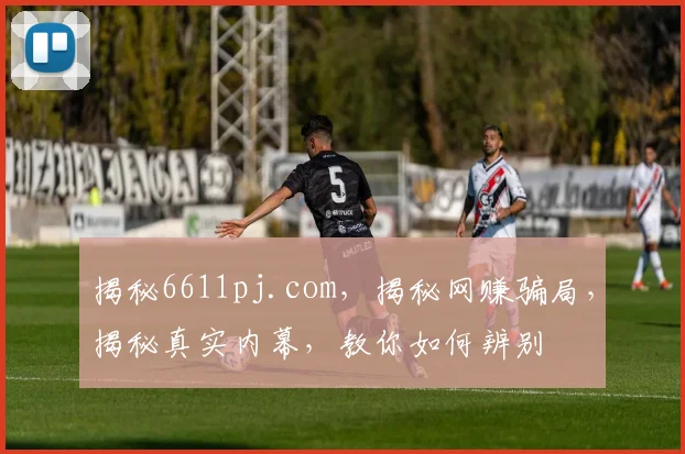 揭秘6611pj.com，揭秘网赚骗局，揭秘真实内幕，教你如何辨别