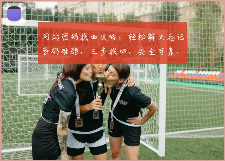 网站密码找回攻略，轻松解决忘记密码难题，三步找回，安全可靠，快速上手